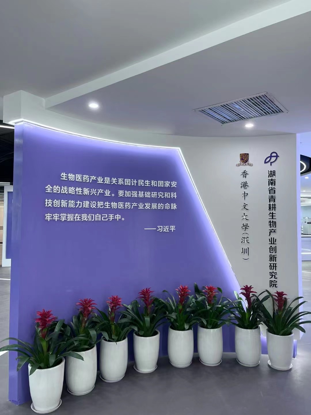 簽約：香港中文大學(xué)湖南省青耕生物產(chǎn)業(yè)創(chuàng)新研究院策劃設(shè)計